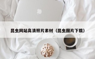 济宁昆虫网站高清照片素材（昆虫图片下载）